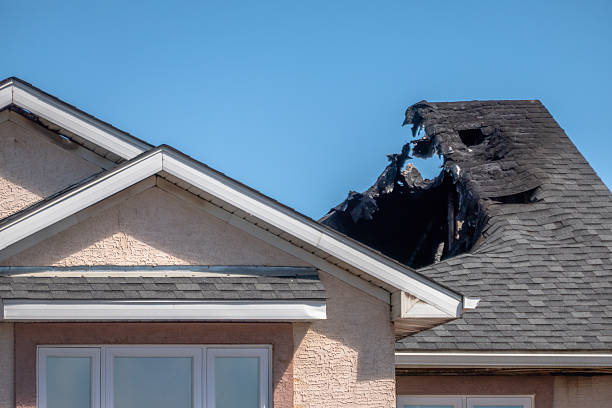 Top rated local Soot Cleanup specialists in Hightstown, NJ